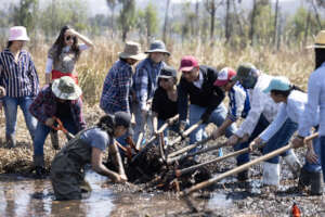 Working on the creation of the natural ponds