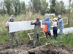 Installing filters in wetland natural ponds