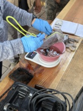 We need to assess constantly the water quality