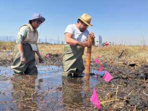 The ponds will hold native mini ecosystems!