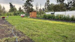This is the new space for visitors and activities