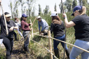 Volunteers establishing 150 m of new trail