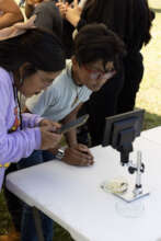 Kids are more interested in conservation topics