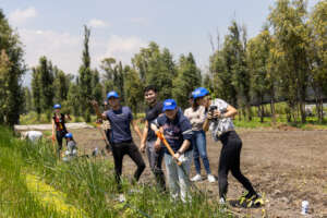 Volunteers in action