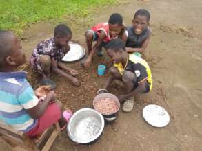 children picking beans