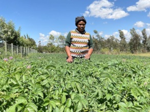 aGRI business