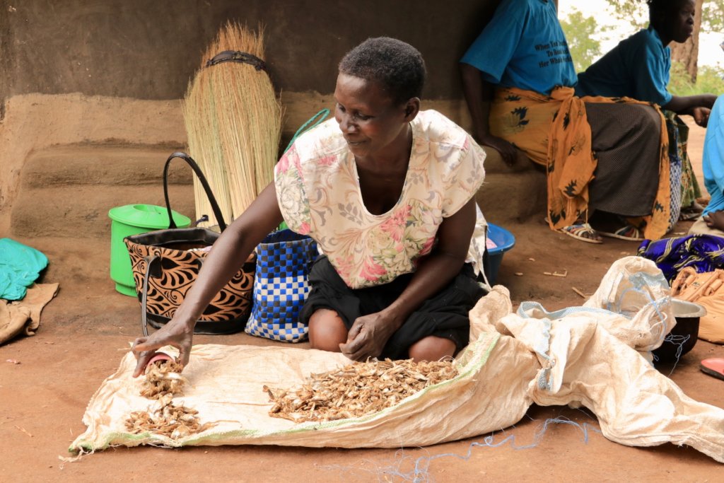 Finance Microloans to Empower Women in Uganda