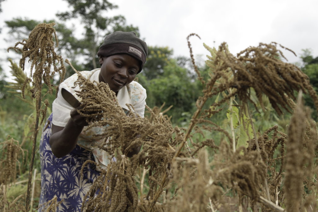 Finance Microloans to Empower Women in Uganda