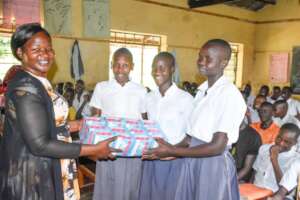 Distribution of lucky girl pads