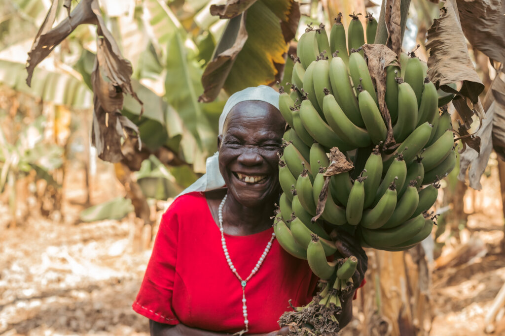 Fund a Kitchen Garden For a Family in Need