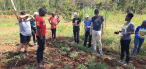 Volunteers setting up a garden