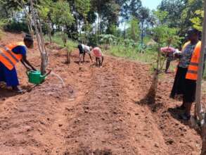 A Kitchen Garden being set up by the Nasio team