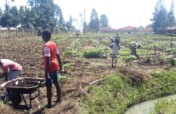 Fund a Kitchen Garden For a Family in Need