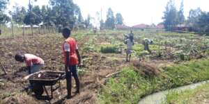 Fund a Kitchen Garden For a Family in Need