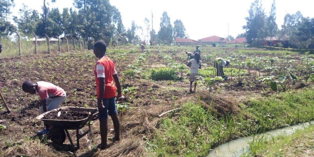 Fund a Kitchen Garden For a Family in Need