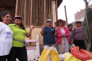 Faena comunitaria