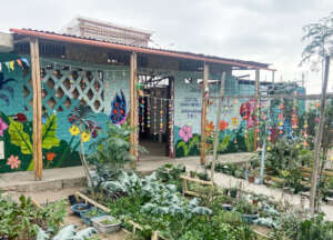 "Ayllu 1-9" Learning space completition