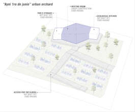 "Ayni 1ro de junio" Project status
