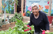 Nourishing Hope: Urban agriculture for elders