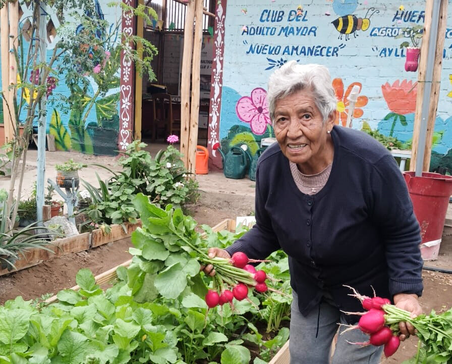 Nourishing Hope: Urban agriculture for elders