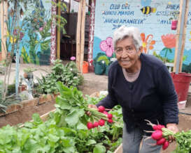 Nourishing Hope: Urban agriculture for elders