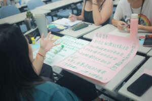 Participants presenting lesson ideas