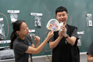 Hands-On Teaching: Using an anatomical model