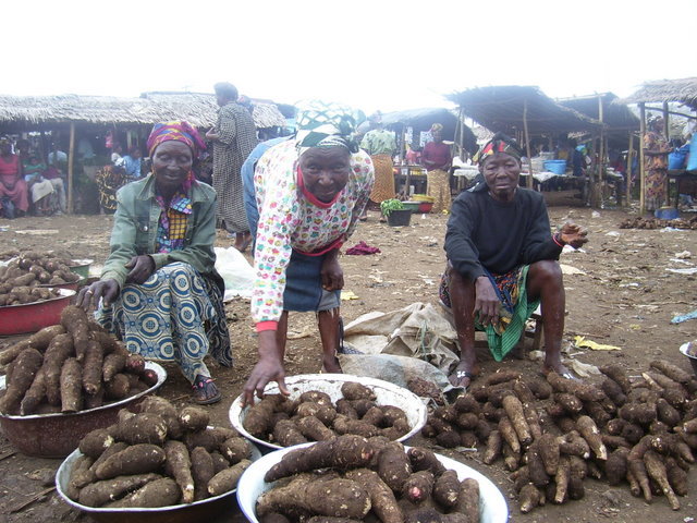 Provide Economic Sustainability to Aids widows