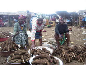 Fighting poverty through Micro-credit