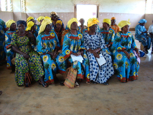 Provide Economic Sustainability to Aids widows