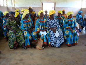 Provide Economic Sustainability to Aids widows