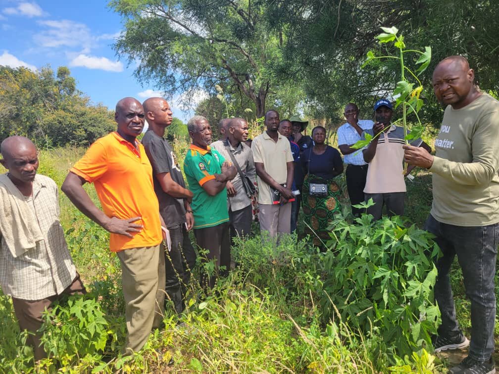 Farmers training