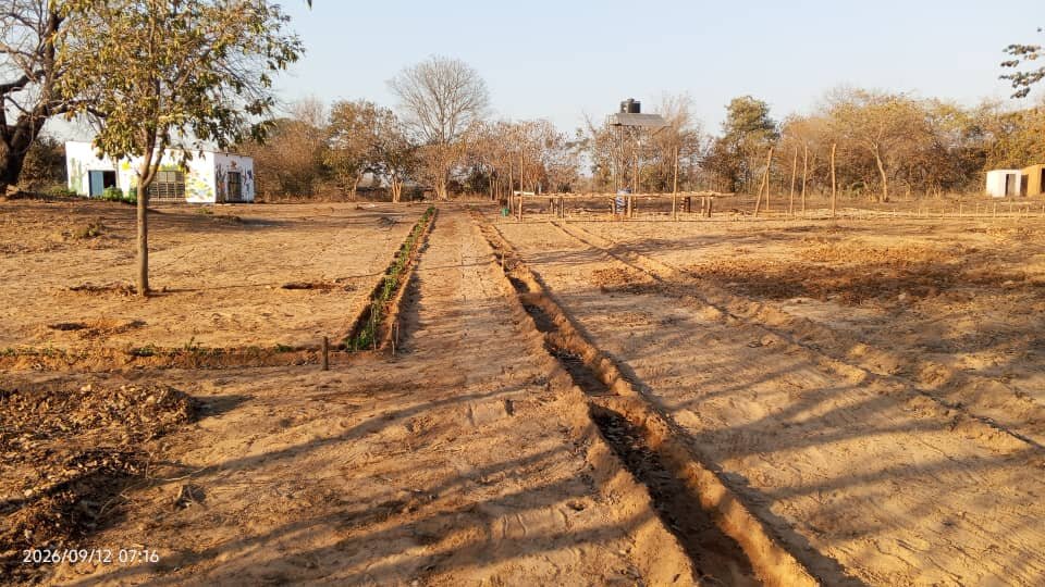 Laying out the demonstration garden