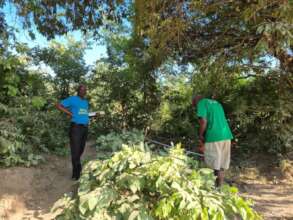 Measuring the land