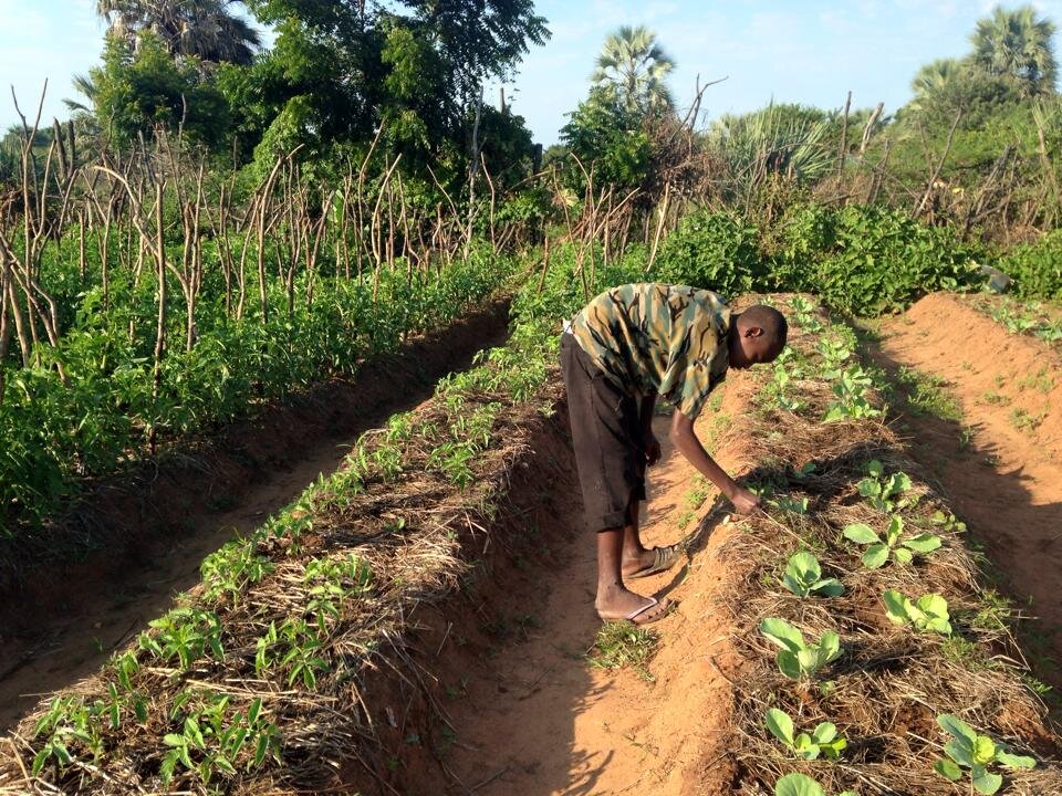 Skills for Life Centre in rural Zambia