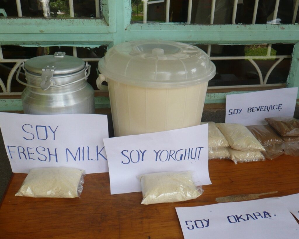 Soy Microbusinesses to Empower Rural Women