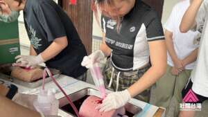 Wound Packing