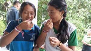 Blood supplements for school children