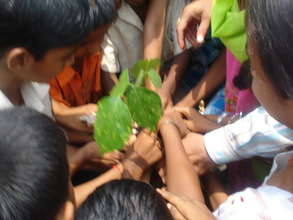 Children plating a green plant