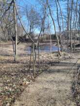 Small Pond in Rynski Dwor