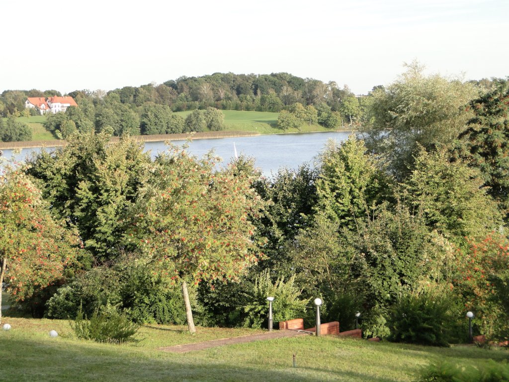 Safeguarding Frogs and Birds in Masuria, Poland