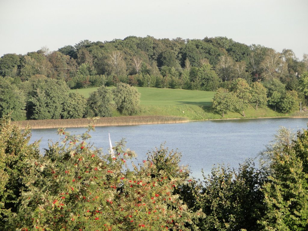 Safeguarding Frogs and Birds in Masuria, Poland