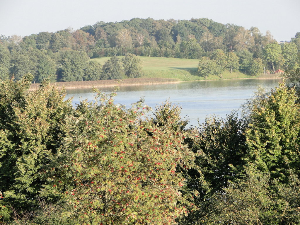 Safeguarding Frogs and Birds in Masuria, Poland