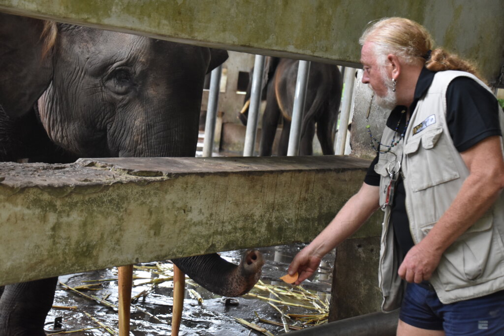 Taking Endangered Elephants From Conflict To Care