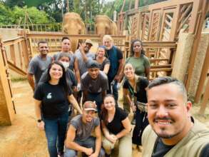 Working with captive elephants in Brazil