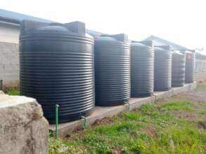 Water tanks for storage of harvested rainwater