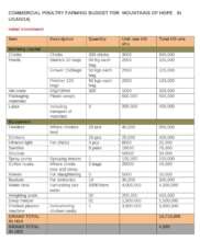 Project budget