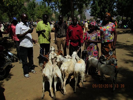 Beneficaires TOKOMBERE 1.jpg