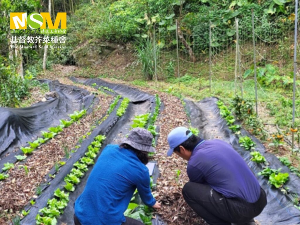 Returning Home | Sustainable Indigenous Livelihood