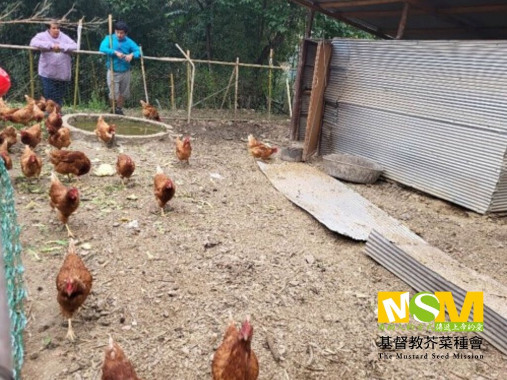 Returning Home | Sustainable Indigenous Livelihood